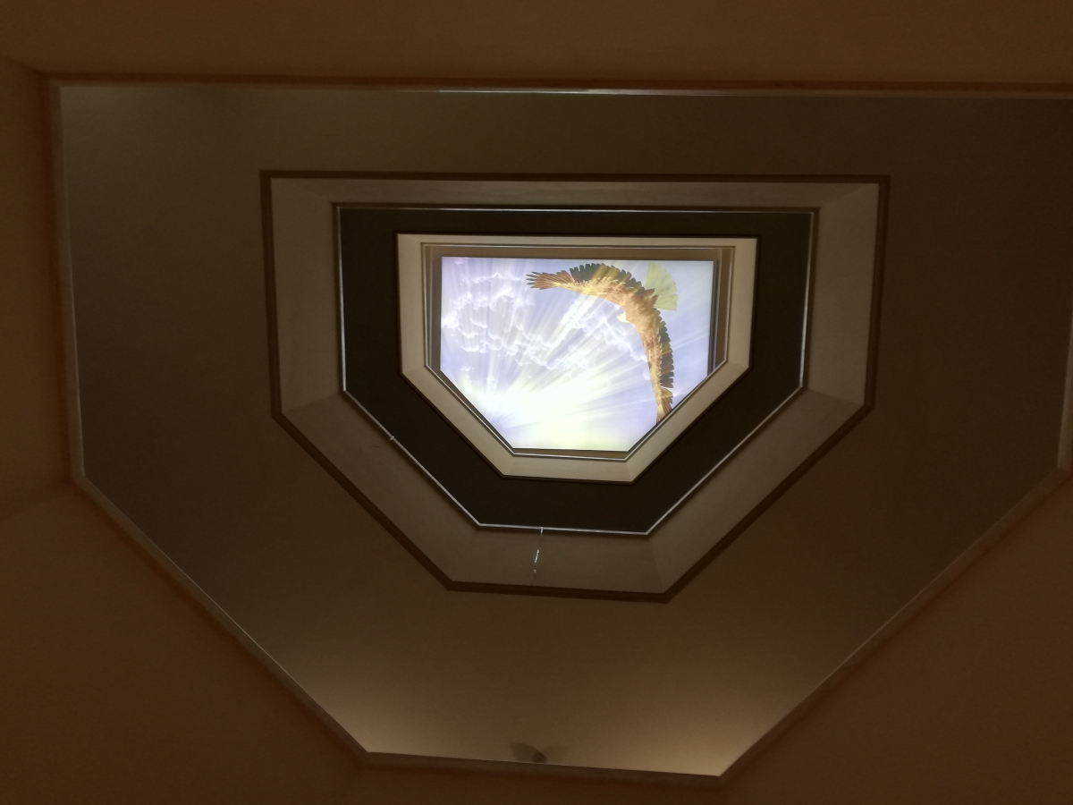 Опънати тавани в Апартаментен комплекс Вила Византия